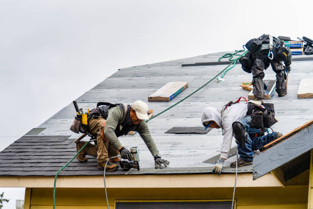 Professional Storm Damage Roof Repair technician working in Taylors Falls, MN